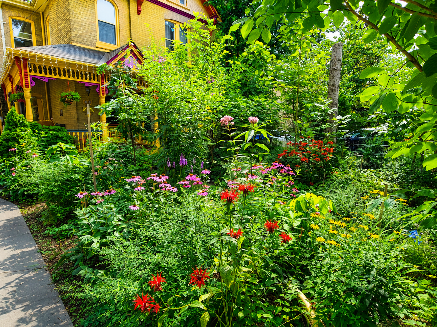 A woodland front yard combining captivating beauty with habitat for local wildlife